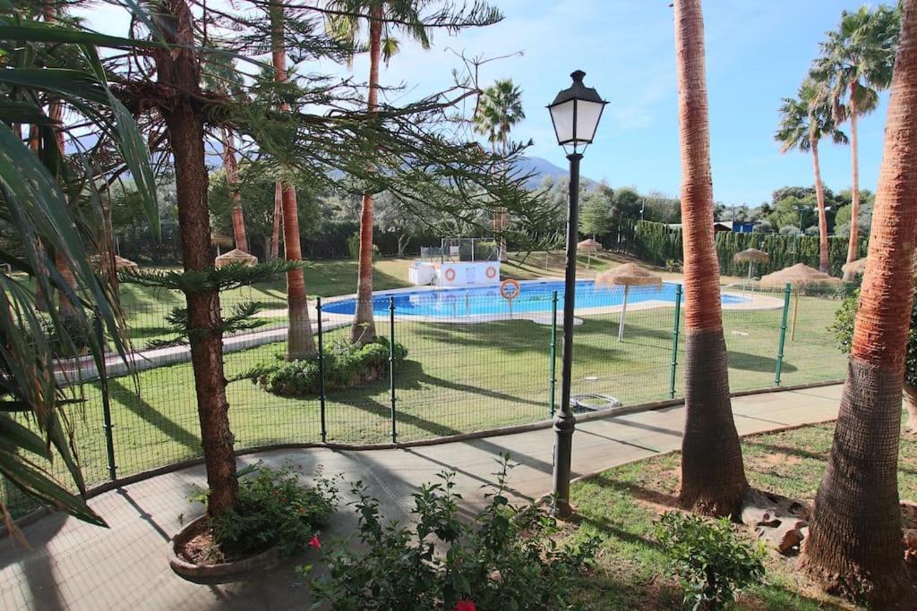 Ayma Buganvilla
